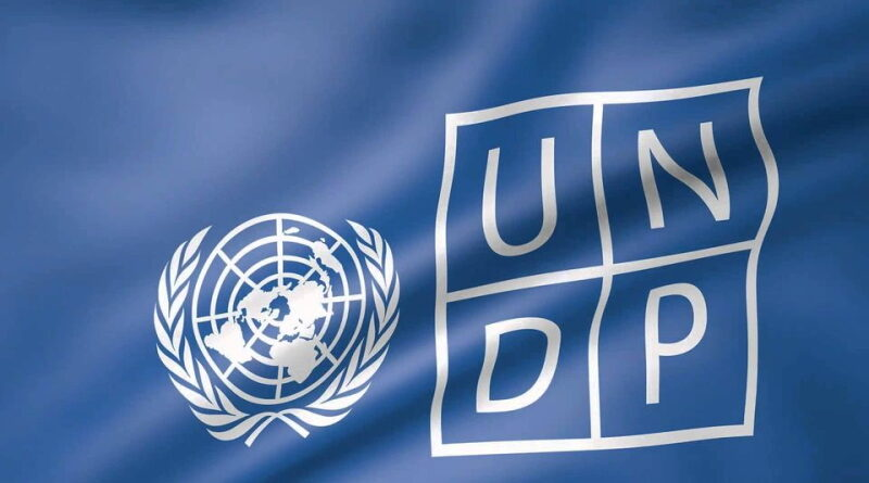 How can Ukrainian business join UNDP projects?